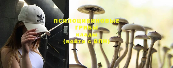а пвп мука Няндома